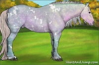 Horse Color:Watercolor White Spotted Silver Black Ice 