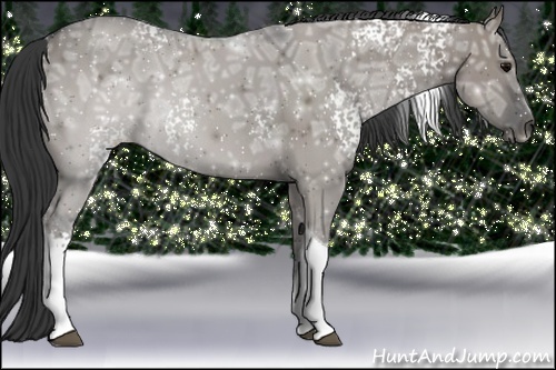 Horse Color:White Spotted Grullo Ice Tobiano