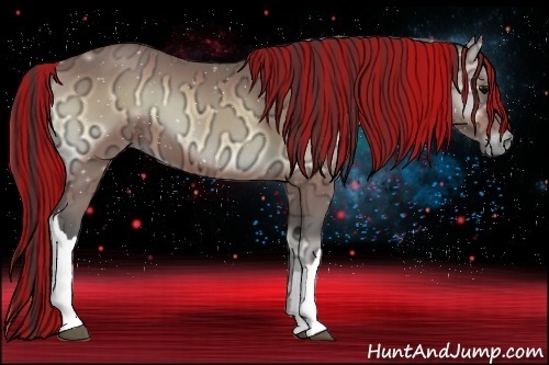 Horse Color:Painted Buckskin Ice Onyx 