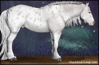 Horse Color:White Spotted Chocolate Silver Grullo Chinchilla Appaloosa 