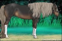 Horse Color:Liver Chestnut