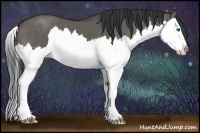 Horse Color:Grullo Sabino Splash 