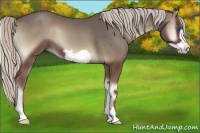 Horse Color:Silver Blue Onyx Frame 