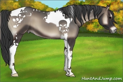 Horse Color:Blue Onyx Tobiano 