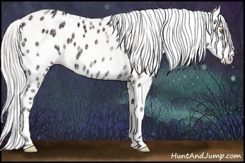 Horse Color:Watercolor Silver Amber Cream Champagne Ice Onyx Appaloosa 