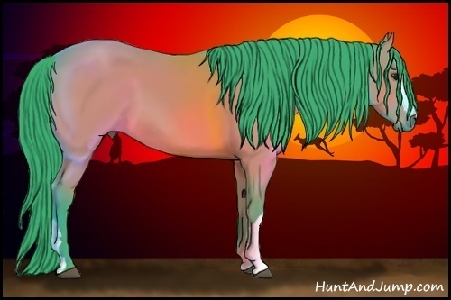 Horse Color:Watercolor Bay 