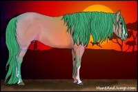 Horse Color:Watercolor Bay 