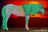 Horse Color:Watercolor Bay 
