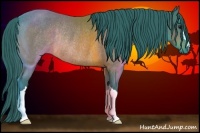 Horse Color:Watercolor Brown Rabicano