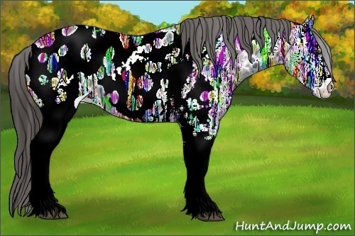 Horse Color:White Spotted Brown Ice Appaloosa 
