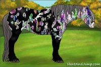 Horse Color:White Spotted Brown Ice Appaloosa