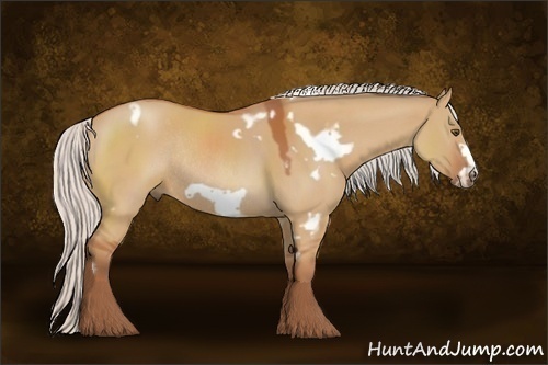 Horse Color:White Spotted Silver Brown Dun Frame Rabicano