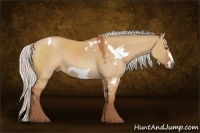 Horse Color:White Spotted Silver Brown Dun Frame Rabicano