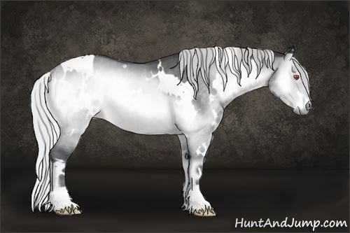 Horse Color:White Spotted Silver Brown Chinchilla Onyx Rabicano 