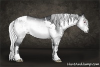 Horse Color:White Spotted Silver Brown Chinchilla Onyx Rabicano