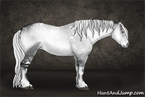Horse Color:White Spotted Silver Brown Chinchilla Onyx 