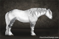 Horse Color:White Spotted Silver Brown Chinchilla Onyx 