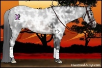 Horse Color:Brown Ice 