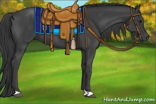 Horse Color:Smoky Black 
