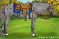 Horse Color:Smoky Black Appaloosa 