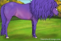Horse Color:Watercolor Brown