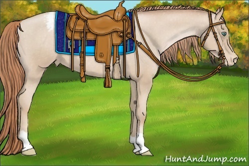 Horse Color:Smoky Black Pearl Appaloosa 