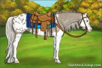 Horse Color:Silver Grullo Splash Appaloosa 