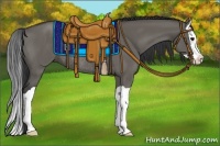 Horse Color:Grullo Splash Rabicano 