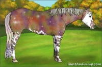 Horse Color:Nacre Silver Bay Sabino Splash