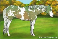 Horse Color:Watercolor White Spotted Silver Brown Sabino 