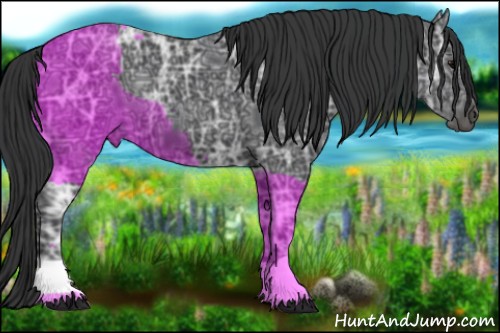 Horse Color:Black Ice 