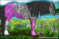 Horse Color:Black Ice 