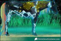 Horse Color:ERROR: UNKNOWN ANOMALY and ERROR: UNKNOWN ANOMALY