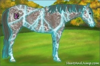 Horse Color:Thunderstruck Liver Chestnut Ice 