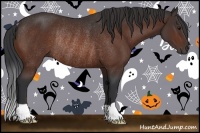 Horse Color:Bay Rabicano 