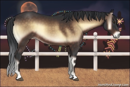 Horse Color:Brown Onyx 