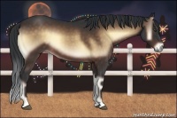 Horse Color:Brown Onyx 