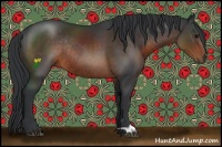 Horse Color:Brown Rabicano 