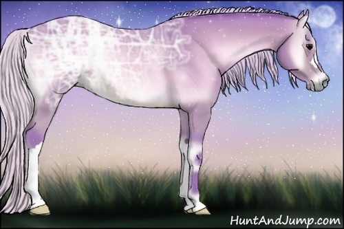 Horse Color:Watercolor Silver Buckskin Ice Onyx 