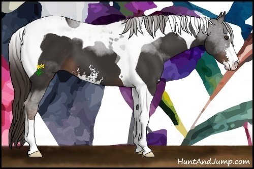 Horse Color:Liver Chestnut Sabino Tobiano 