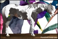 Horse Color:Liver Chestnut Sabino Tobiano 