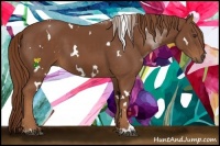 Horse Color:White Spotted Chestnut Sabino