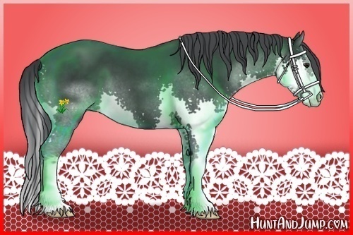 Horse Color:Black Chinchilla Splash 