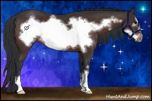 Horse Color:Brown Sabino Frame