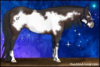 Horse Color:Brown Sabino Frame