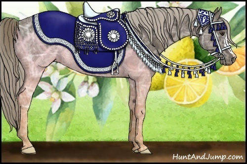 Horse Color:Chocolate Palomino Ice Rabicano