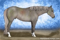 Horse Color:Silver Black Rabicano 