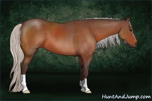 Horse Color:Silver Brown 