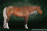 Horse Color:Silver Brown 