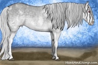 Horse Color:White Spotted Silver Grullo Chinchilla Roan Splash 